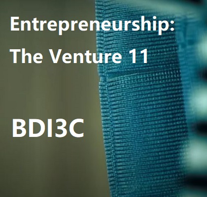 BDI3C Entrepreneurship: The Venture Grade 11