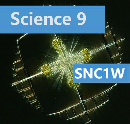 SNC1W Science Grade 9