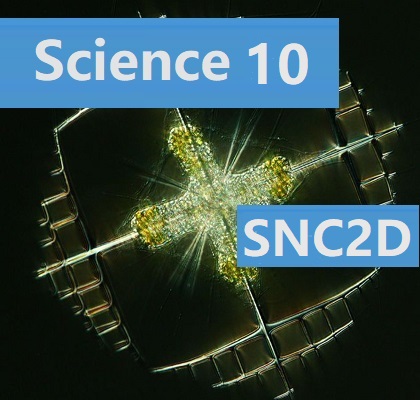SNC2D Science Grade10 Chemistry Biology Physics - Online high school credit